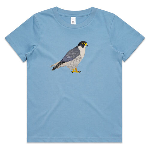 Peregrine Falcon Thumbnail
